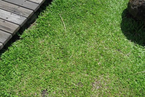 Landscaping Contractors Coventry