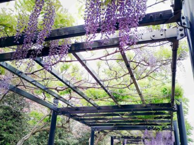 Garden pergola services West Midlands